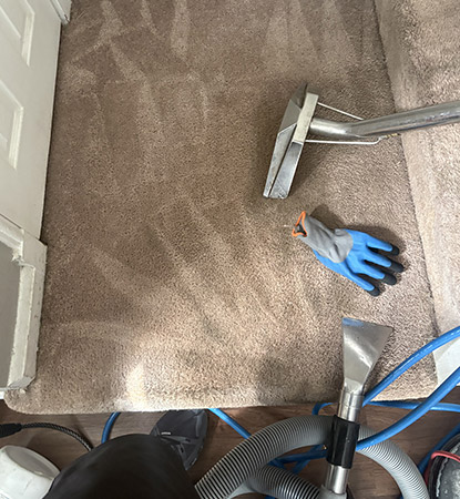 Professional Carpet Cleaning