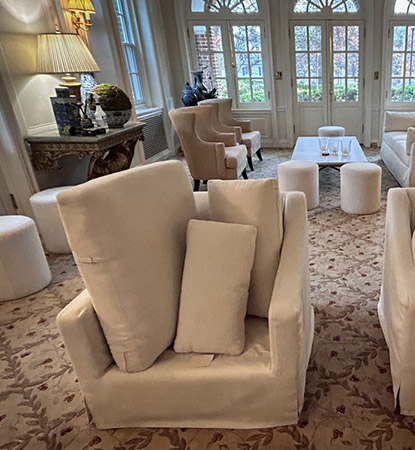 Professional Upholstery Cleaning Service