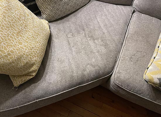 upholstery cleaning services